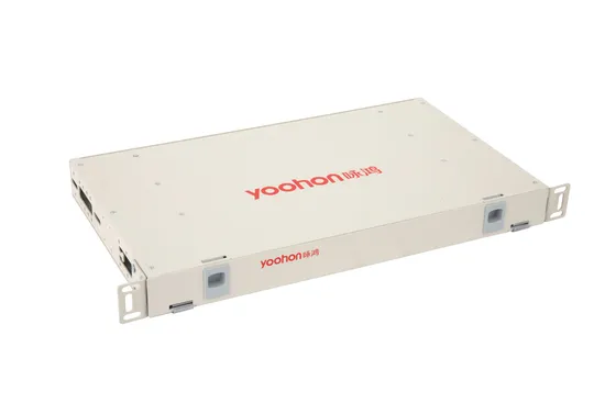 1u Fiber Optical Distribution Frame with St, FC, LC, Sc Ports 