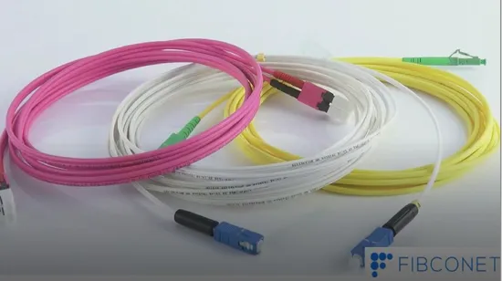 Fiber Optic/Optical Sm mm 1.5m 0.9/2.0/3.0mm, Om1/Om2 Om3 Om4 Om5 Type Sm/mm Simplex/Duplex RJ45 Rj11 Sc/LC/FC/St/MPO/MTP/Mu/MTRJ/E2000 Network Patch Cord 